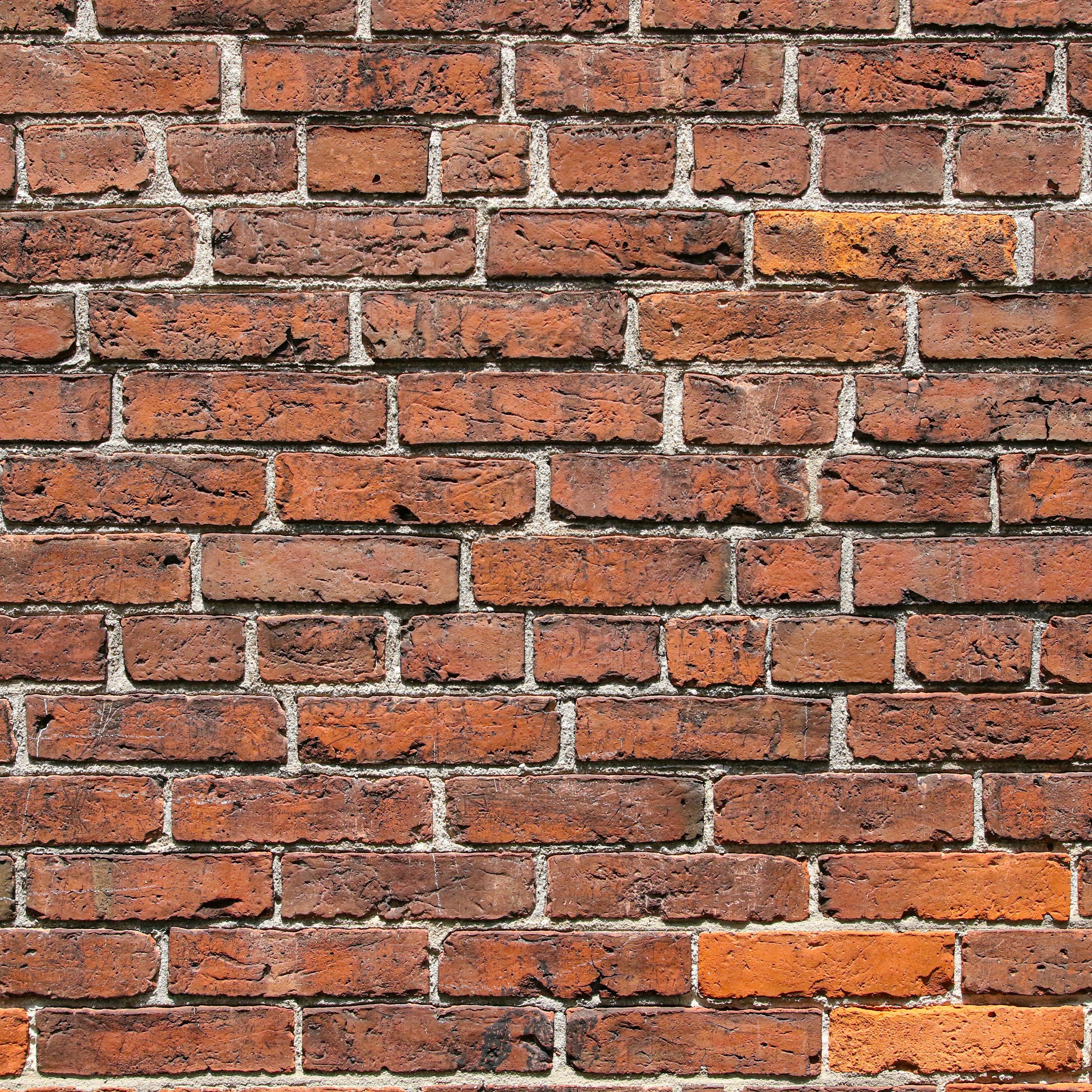 Masonry & Surface Prep