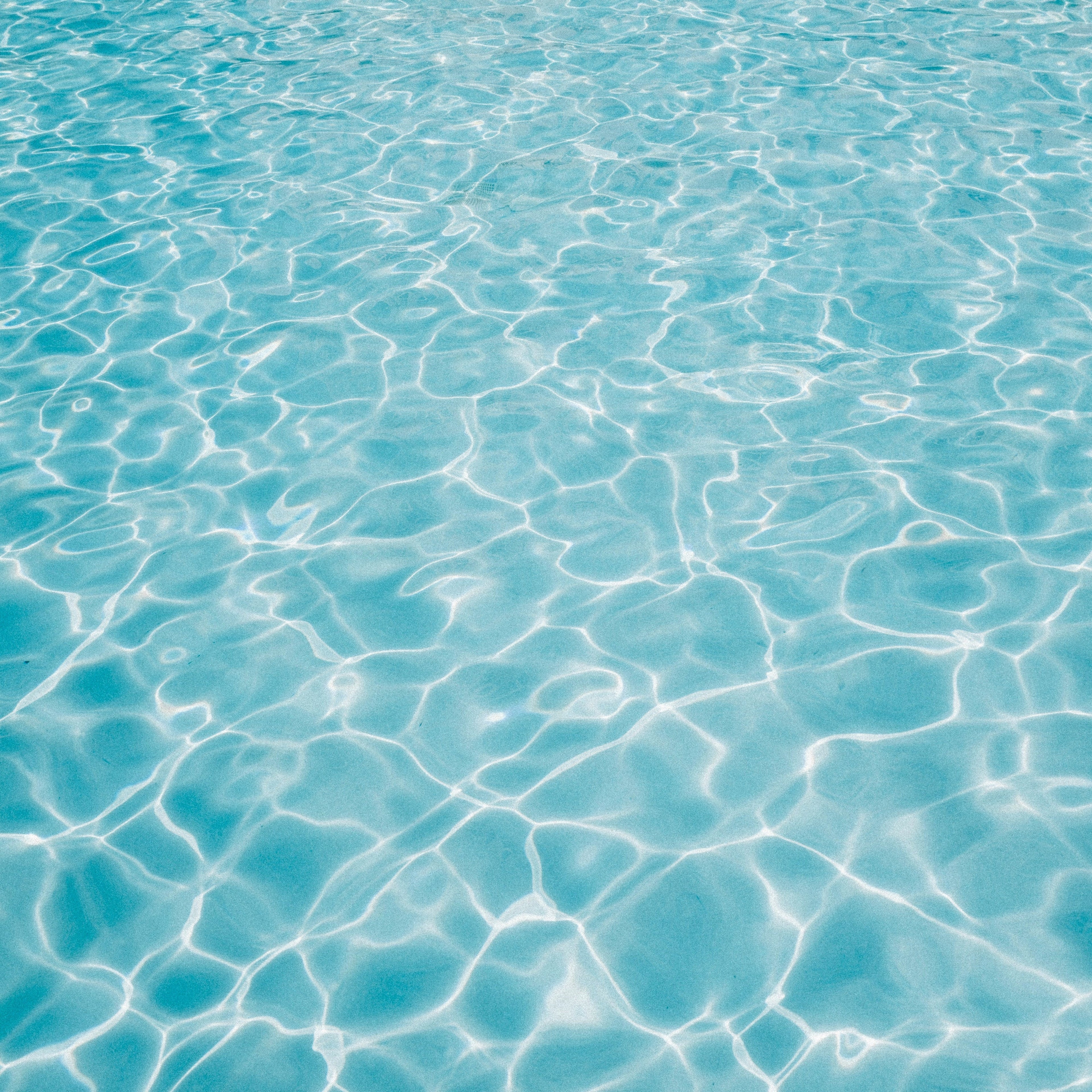 Swimming Pool & Spa